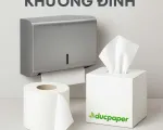 🧻 DUCPAPER – Nhà cung cấp giấy vệ sinh & hộp đựng giấy uy tín tại Phường Khương Đình, Hà Nội