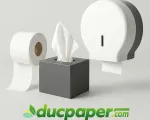 🧻 DUCPAPER – Nhà cung cấp giấy vệ sinh & hộp đựng giấy uy tín tại Phường Thanh Xuân, Hà Nội